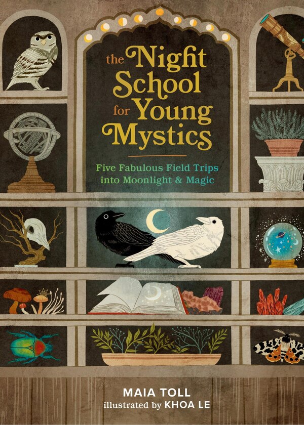 The Night School for Young Mystics by Maia Toll, Paper over Board | Indigo Chapters