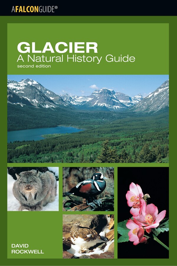 Glacier: A Natural History Guide by David Rockwell, Paperback | Indigo Chapters