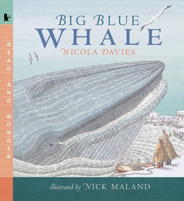 Big Blue Whale by Nicola Davies, Paperback | Indigo Chapters