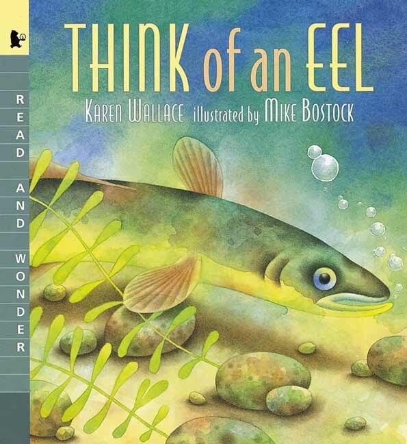 Think Of An Eel by Karen Wallace, Paperback | Indigo Chapters