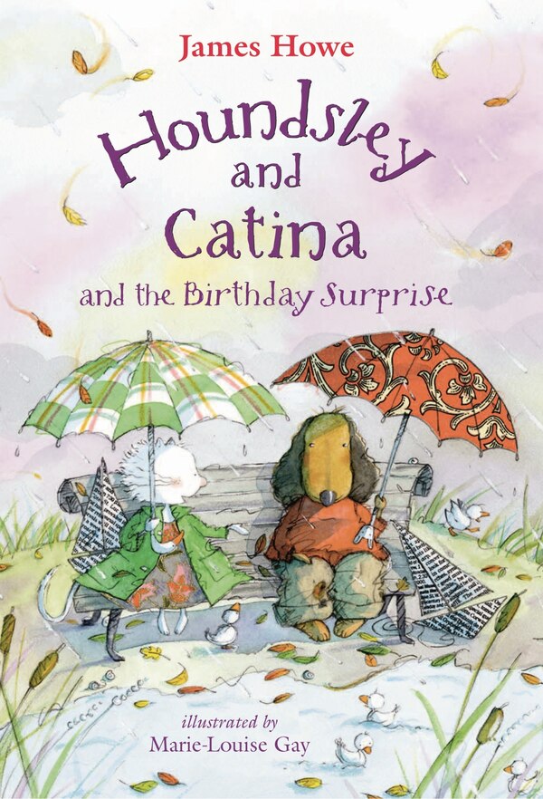 Houndsley And Catina And The Birthday Surprise by James Howe, Hardcover | Indigo Chapters