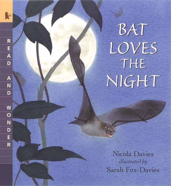 Bat Loves The Night by Nicola Davies, Paperback | Indigo Chapters