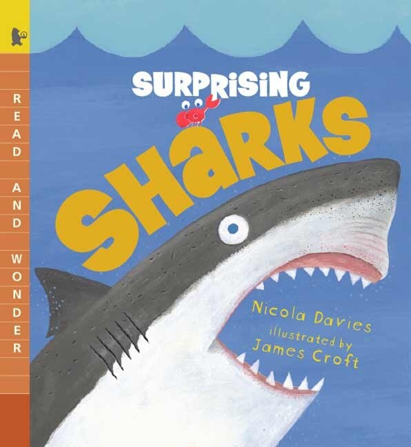 Surprising Sharks by Nicola Davies, Paperback | Indigo Chapters