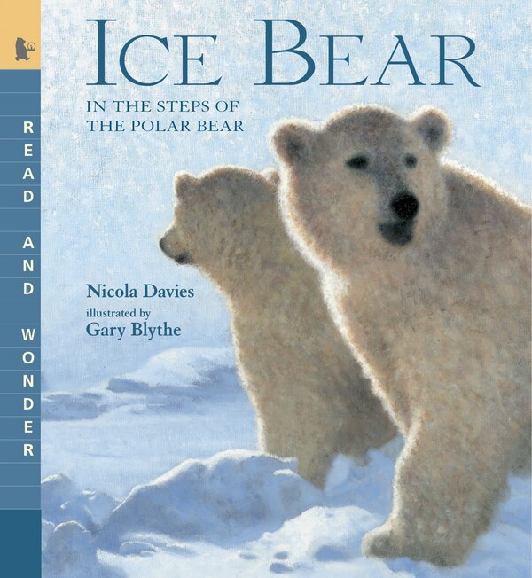 Ice Bear: In the Steps of the Polar Bear by Nicola Davies, Paperback | Indigo Chapters