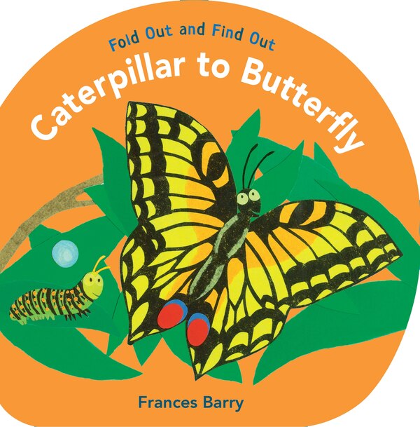 Caterpillar To Butterfly: Fold Out And Find Out by Frances Barry, Hardcover | Indigo Chapters