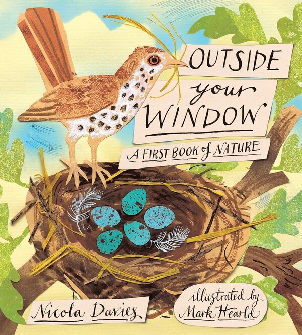 Outside Your Window by Nicola Davies, Picture Books | Indigo Chapters