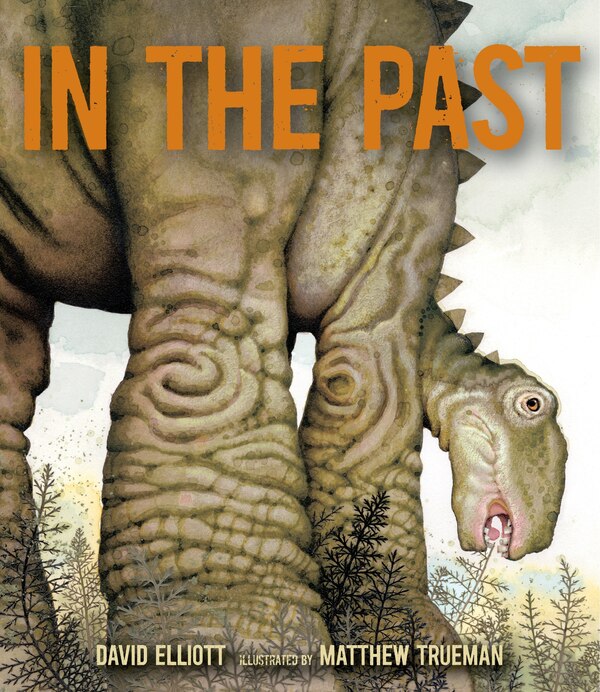 In The Past by David Elliott, Picture Books | Indigo Chapters