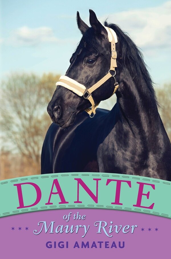 Dante: Horses Of The Maury River Stables by Gigi Amateau, Hardcover | Indigo Chapters