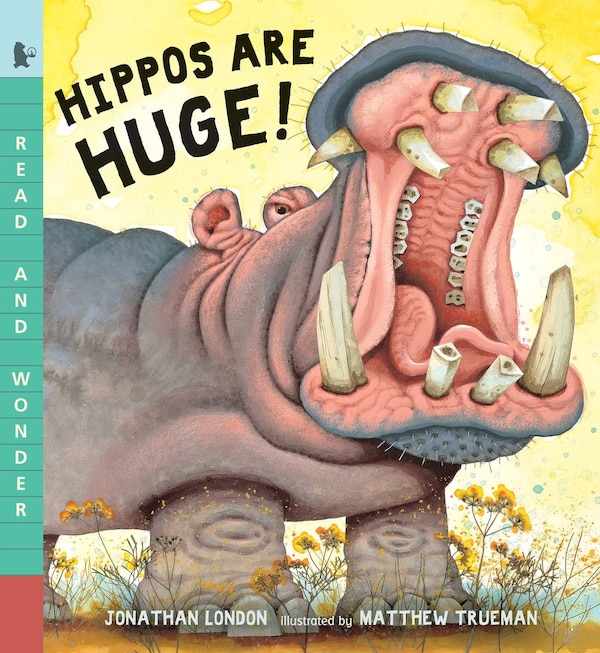 Hippos Are Huge by Jonathan London, Paperback | Indigo Chapters