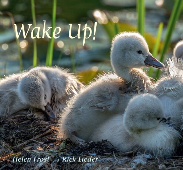 Wake Up by Helen Frost, Picture Books | Indigo Chapters