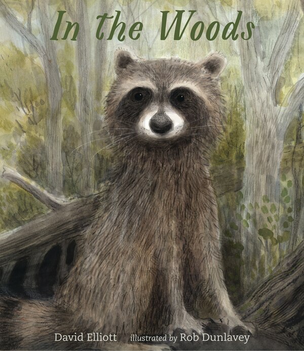 In The Woods by David Elliott, Hardcover | Indigo Chapters