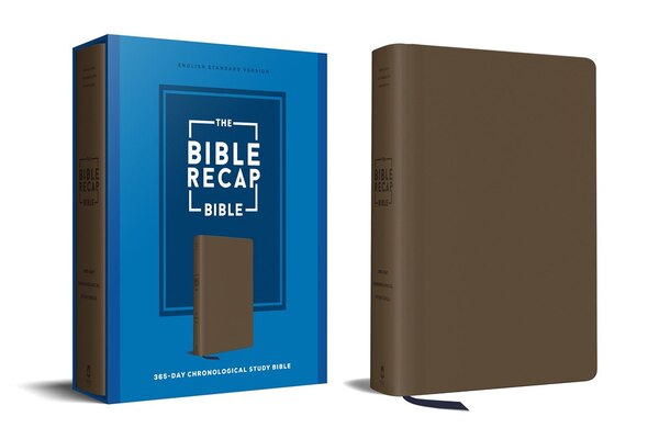 The Bible Recap 365-Day Chronological Study Bible by Tara-leigh Cobble, Leather/Fine Binding | Indigo Chapters