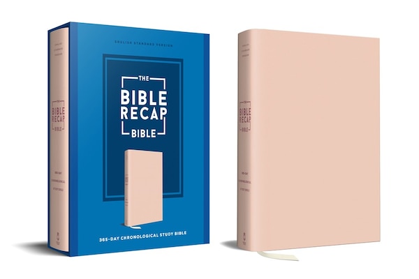 The Bible Recap 365-Day Chronological Study Bible by Tara-leigh Cobble, Imitation Leather | Indigo Chapters