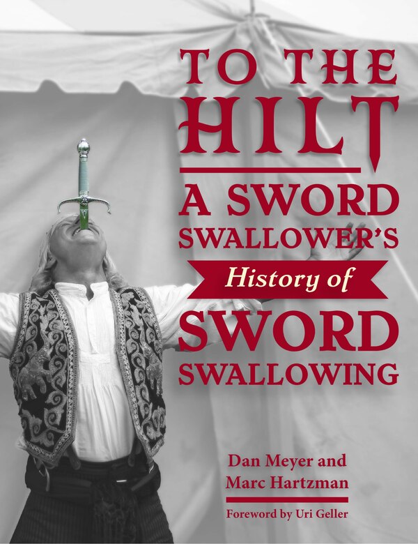 To the Hilt by Dan Meyer, Hardcover | Indigo Chapters