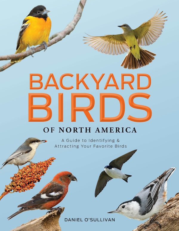 Backyard Birds of North America by Daniel O'Sullivan, Hardcover | Indigo Chapters