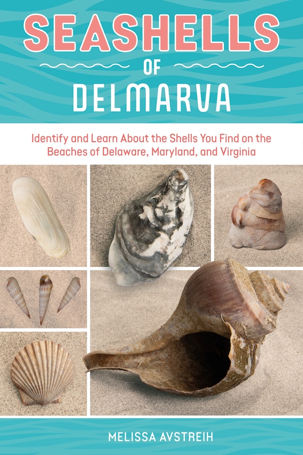 Seashells of Delmarva by Melissa Avstreih, Paperback | Indigo Chapters