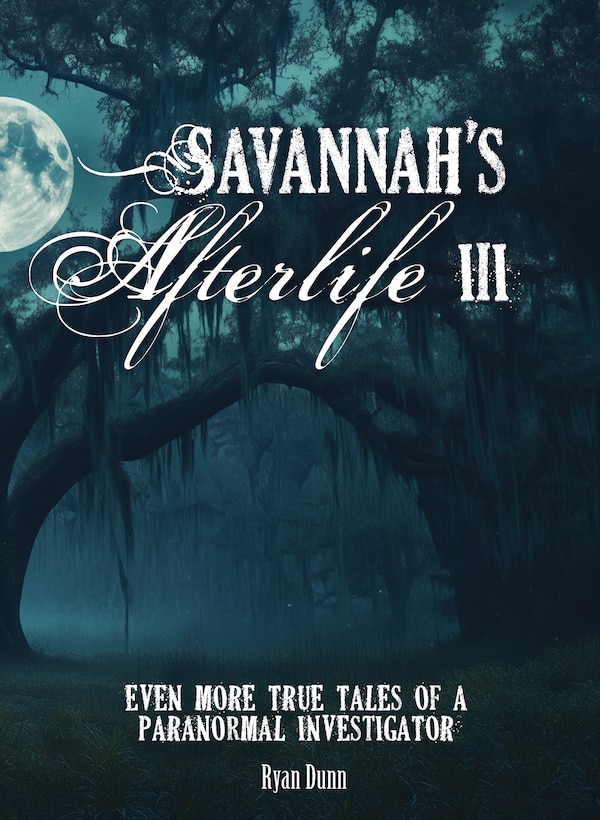 Savannah's Afterlife III by Ryan Dunn, Paperback | Indigo Chapters