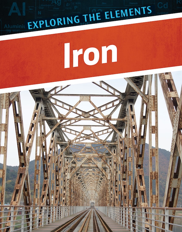 Iron by Henrietta Toth, Reinforced Library Binding | Indigo Chapters