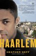 Haarlem by Heather Neff, Paperback | Indigo Chapters