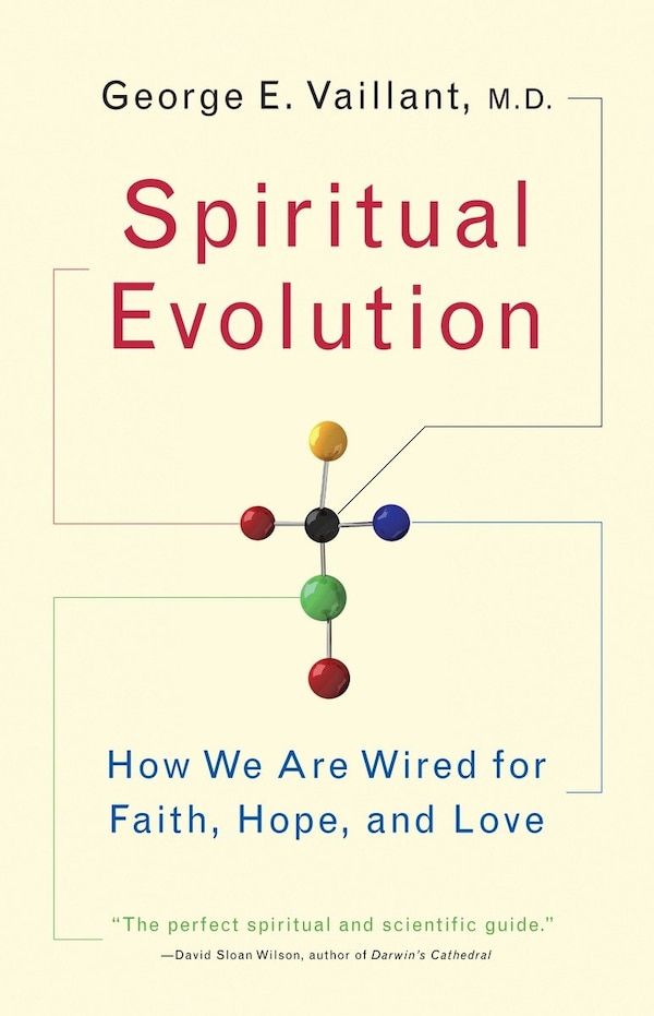 Spiritual Evolution by George Vaillant, Paperback | Indigo Chapters
