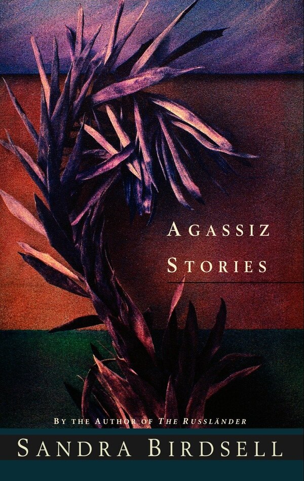 Agassiz Stories by Sandra Birdsell, Paperback | Indigo Chapters
