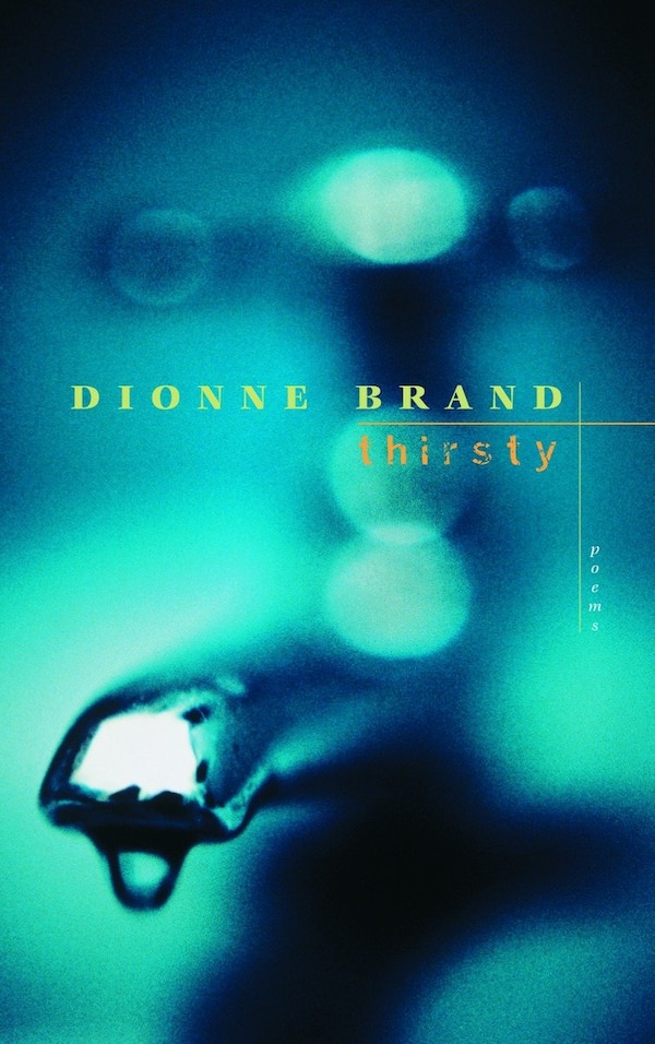 Thirsty by Dionne Brand, Paperback | Indigo Chapters