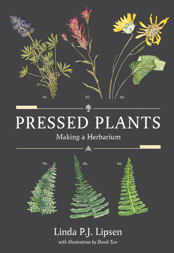Pressed Plants by Linda Lipsen, Paperback | Indigo Chapters
