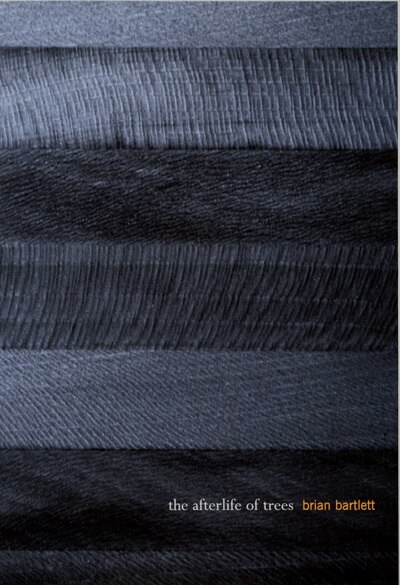 The Afterlife of Trees by Brian Bartlett, Paperback | Indigo Chapters