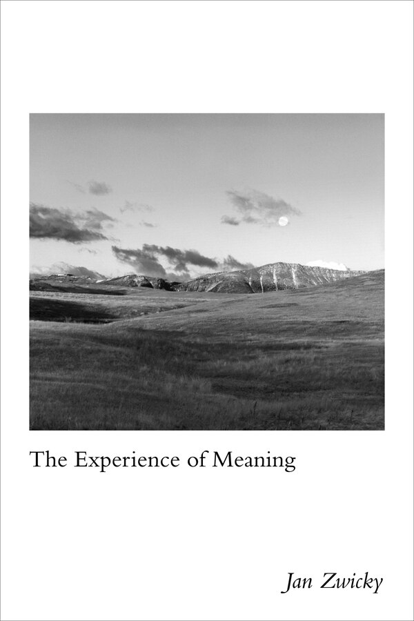 The Experience of Meaning by Jan Zwicky, Paperback | Indigo Chapters