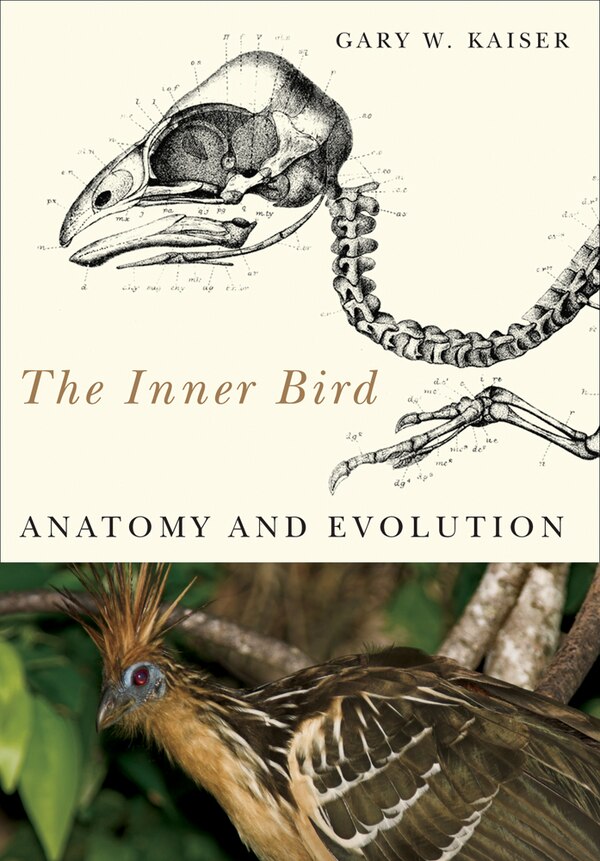 The Inner Bird by Gary W. Kaiser, Paperback | Indigo Chapters