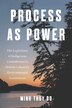 Process as Power by Minh Thuy Do, Paperback | Indigo Chapters