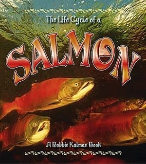 Salmon by Bobbie Kalman, Paperback | Indigo Chapters