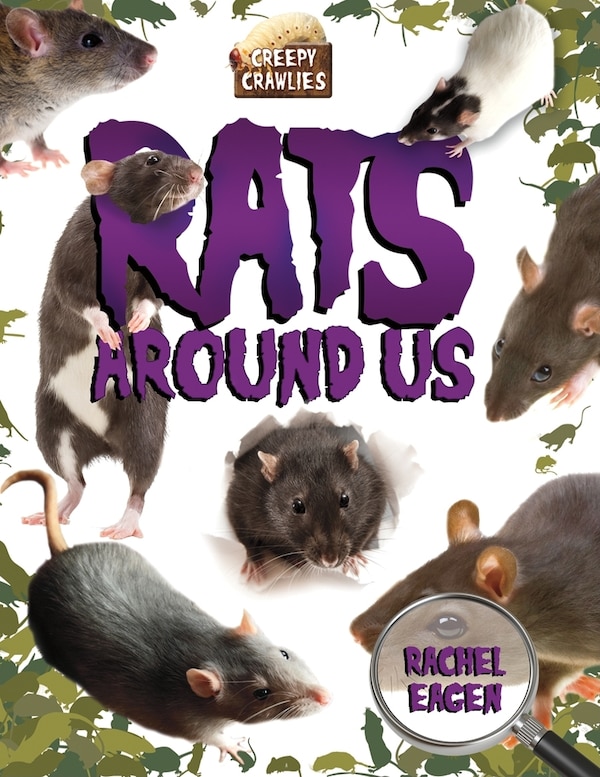 Rats Around Us by Rachel Eagen, Hardcover | Indigo Chapters