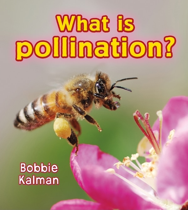 What Is Pollination? by Bobbie Kalman, Paperback | Indigo Chapters