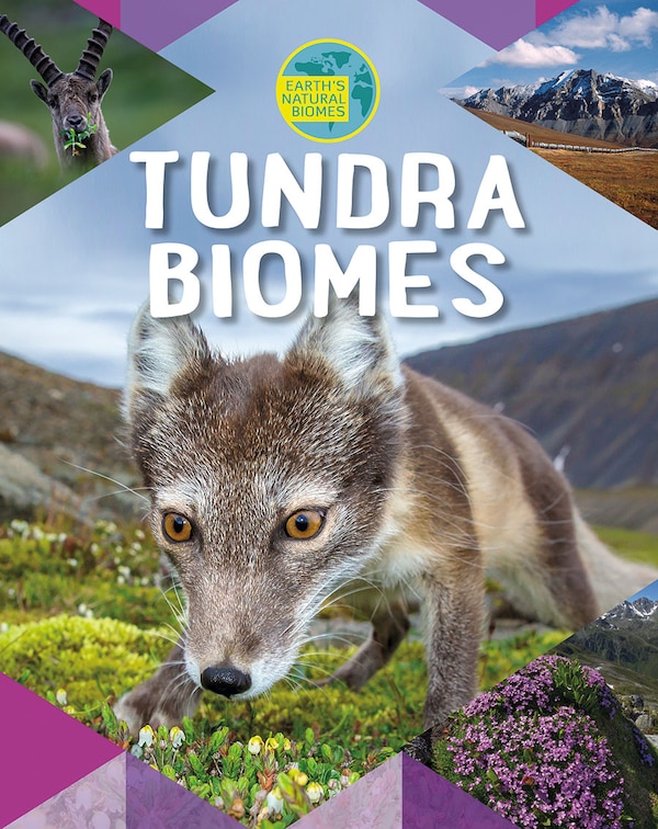 Tundra Biomes by Louise A Spilsbury, Paperback | Indigo Chapters