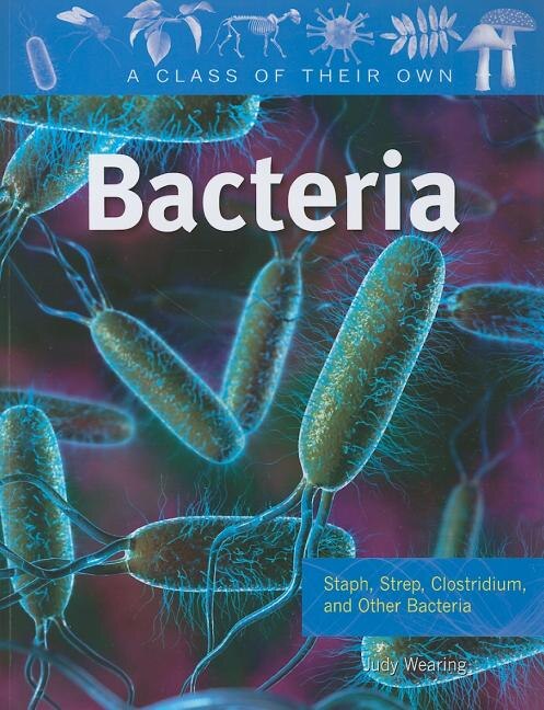 Bacteria: Staph Strep Clostridium and Other Bacteria by Judy Wearing, Paperback | Indigo Chapters