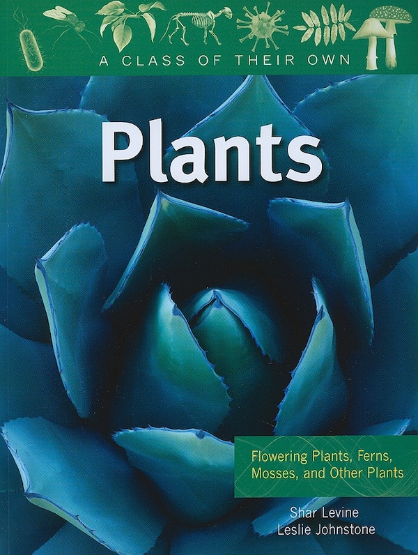 Plants: Flowering Plants Ferns Mosses and Other Plants by Shar Levine, Paperback | Indigo Chapters