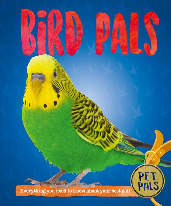 Bird Pals by Pat Jacobs, Hardcover | Indigo Chapters