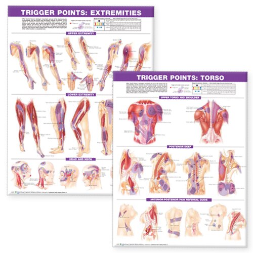 Trigger Point Chart Set by Anatomical Chart Anatomical Chart Com, Hardcover | Indigo Chapters