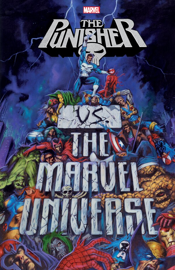 Punisher Vs. The Marvel Universe by Garth Ennis, Paperback | Indigo Chapters