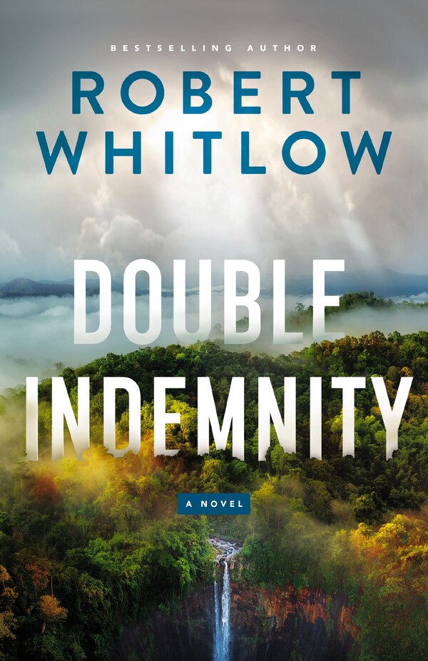 Double Indemnity by Robert Whitlow, Hardcover | Indigo Chapters