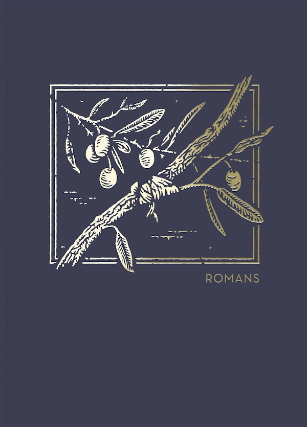 Net Abide Bible Journal - Romans, Paperback Comfort Print by Thomas Thomas Nelson | Indigo Chapters