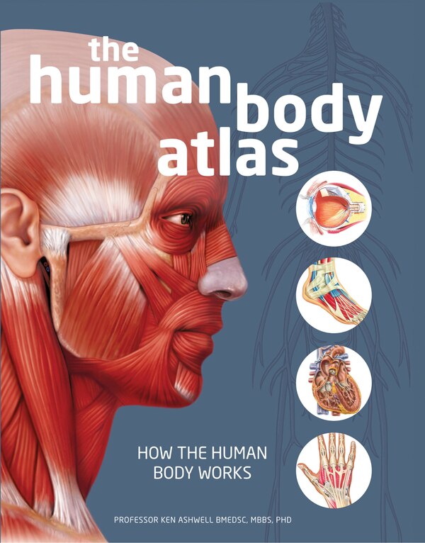 The Human Body Atlas by National Geographic, Paper over Board | Indigo Chapters