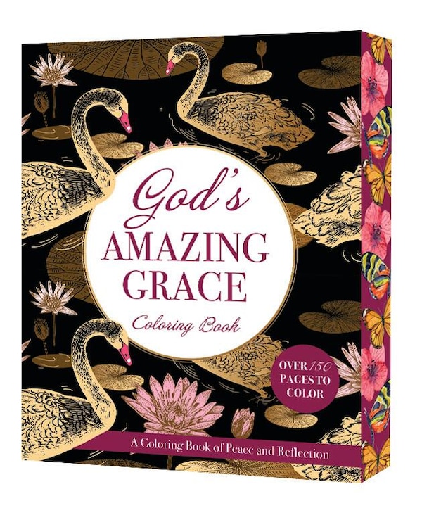God's Amazing Grace by Editors Of Chartwell Books, Paperback | Indigo Chapters