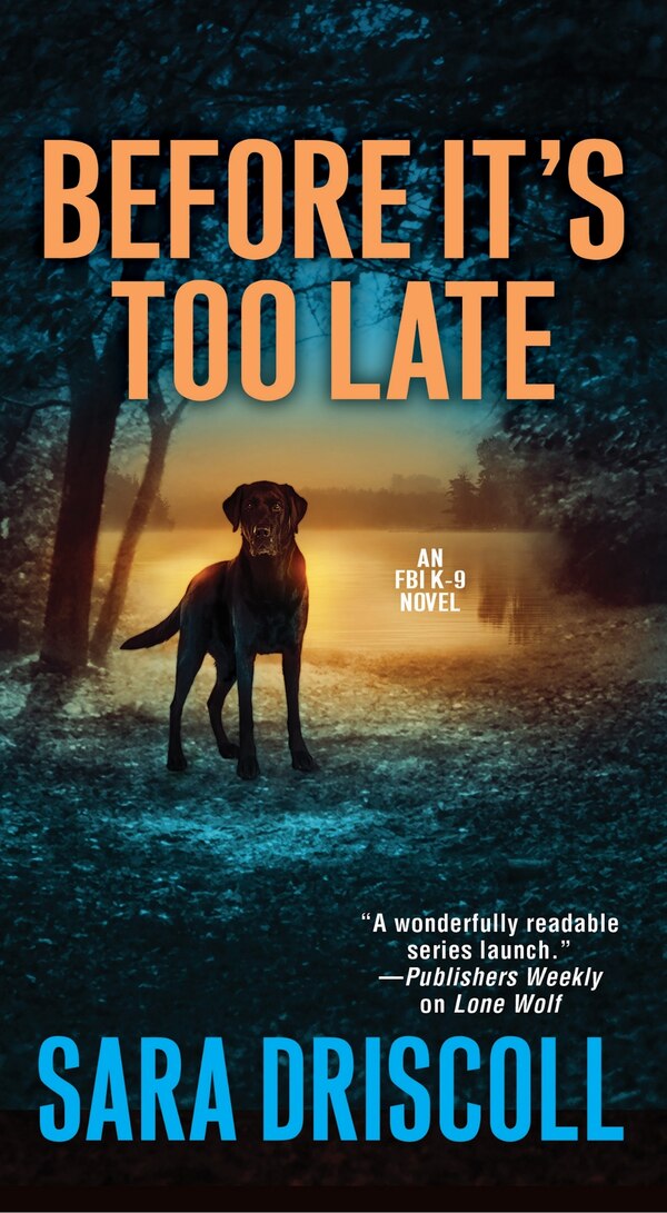 Before It's Too Late by Sara Driscoll, Mass Market Paperback | Indigo Chapters