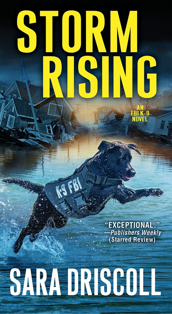 Storm Rising by Sara Driscoll, Mass Market Paperback | Indigo Chapters