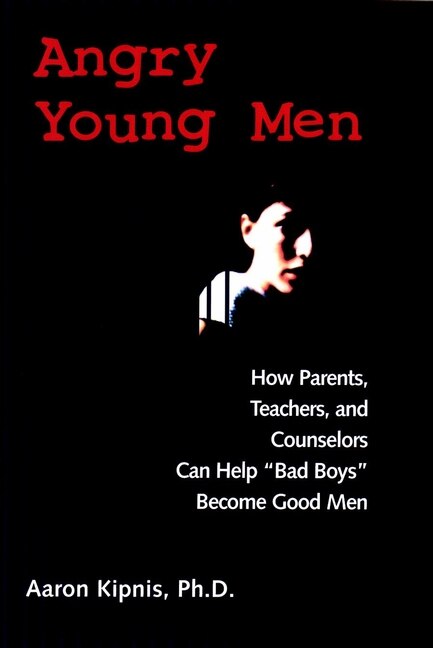 Angry Young Men by Aaron Kipnis, Paperback | Indigo Chapters