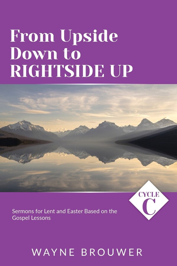 From Upside Down to Rightside Up by Wayne Brouwer, Paperback | Indigo Chapters