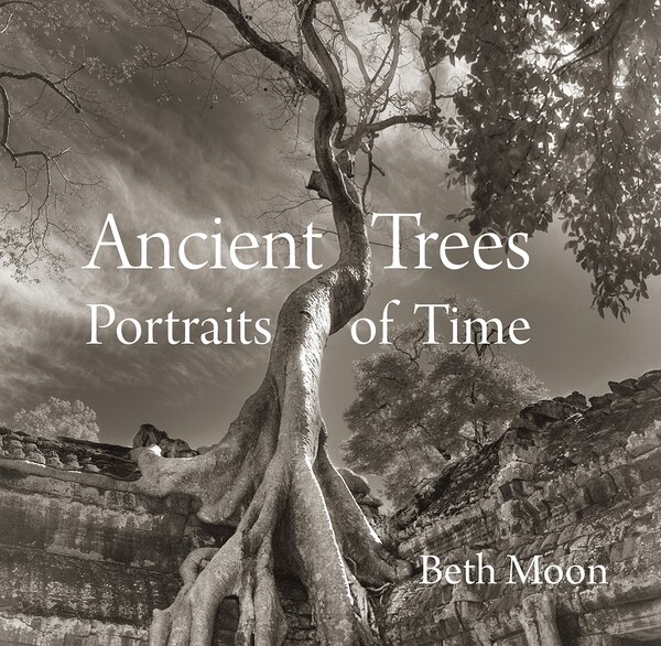 Ancient Trees by Beth Moon, Hardcover | Indigo Chapters