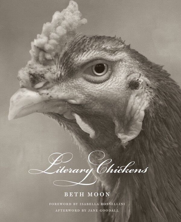 Literary Chickens by Beth Moon, Hardcover | Indigo Chapters